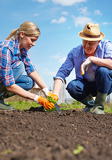 Landscapers